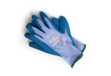oyster gloves