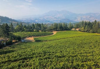Diamond Mountain Vineyard in Napa Valley