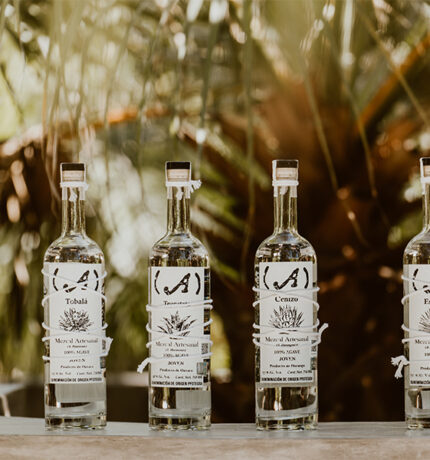 Everything You Need to Know About Mezcal