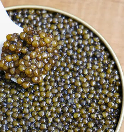 The Complete Caviar Guide: How to Eat, Serve, and Store Caviar
