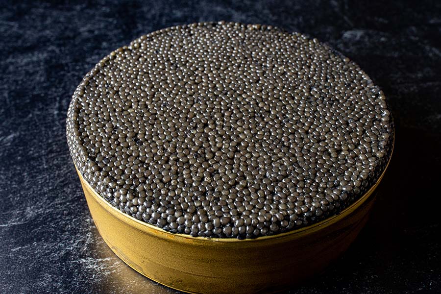 Beluga caviar is noted for its large eggs that pop in your mouth