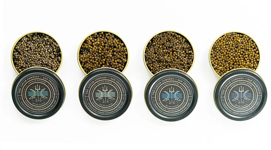 The Caviar Co. | Best Caviar Companies in the US