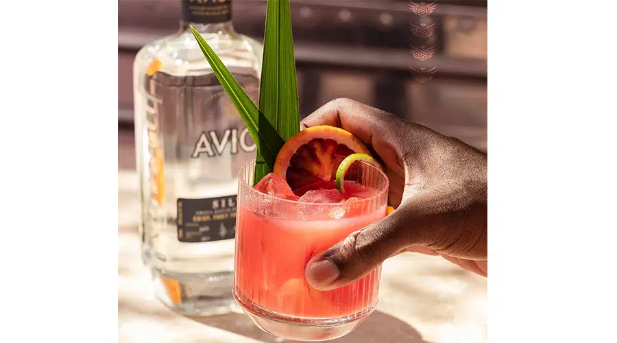 Avión Blood Orange Paloma Avión Blood Orange Paloma