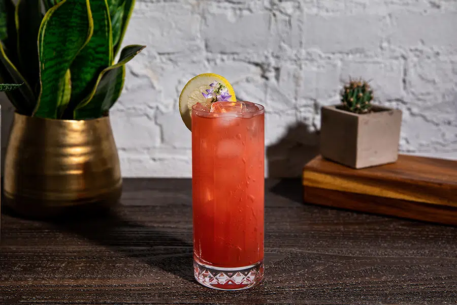 Azalea cocktail Azalea Best Gin Cocktails