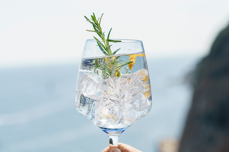 Mediterranean Gin and Tonic Mediterranean Gin and Tonic | Best Gin Cocktails