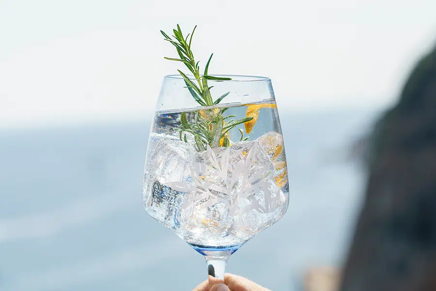 Mediterranean Gin and Tonic Mediterranean Gin and Tonic | Best Gin Cocktails