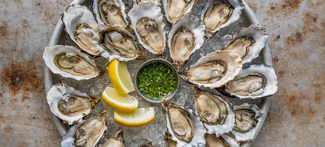Ultimate Oyster Guide: How to Order, Eat, Shuck, and Store Oysters