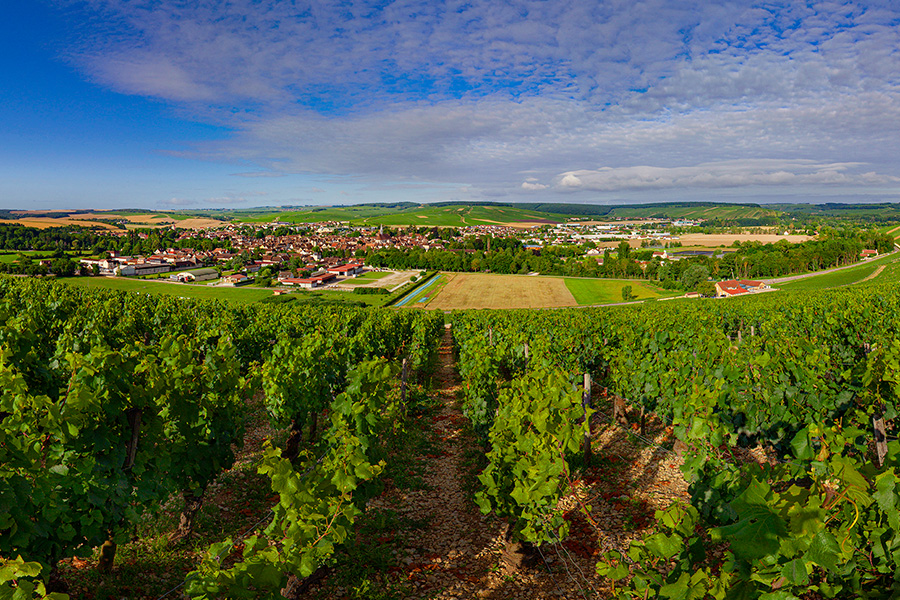 Chablis Chardonnay Chablis Types of Chardonnay