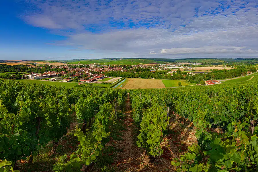 Chablis Chardonnay Chablis Types of Chardonnay