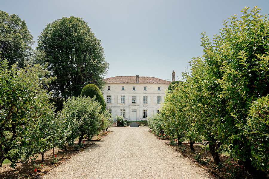 How to Visit Louis XIII How to Visit Louis XIII