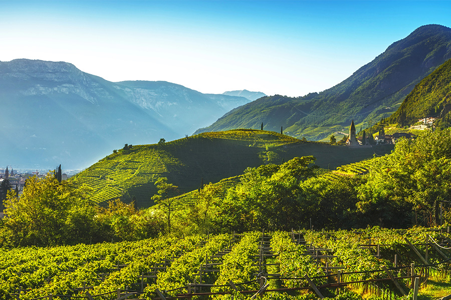 Trentino-Alto Adige Types of Chardonnay From Around the World