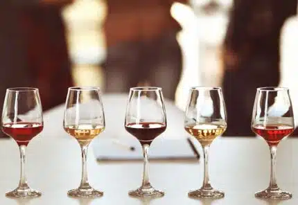 The 5 Main Types of Wine You Should Know