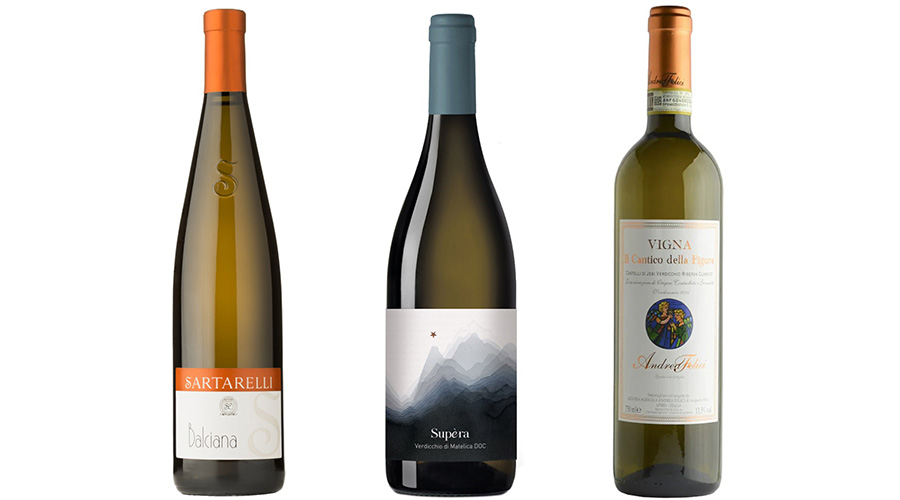 Verdicchio White Wine Verdicchio White Wine 101