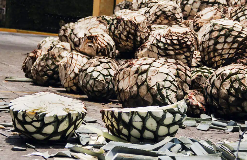 How Is Cristalino Tequila Made How Is Cristalino Tequila Made?