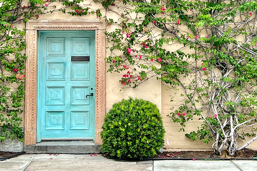 Things to Do in Palm Beach