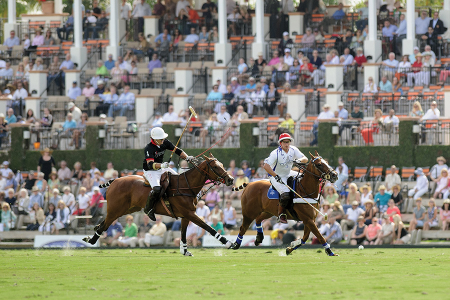 Polo Game in Palm Beach Polo Game in Palm Beach