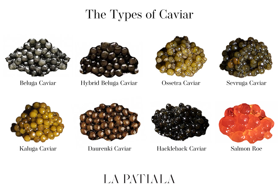 10 Types of Caviar You Should Try Everything You Need to Know