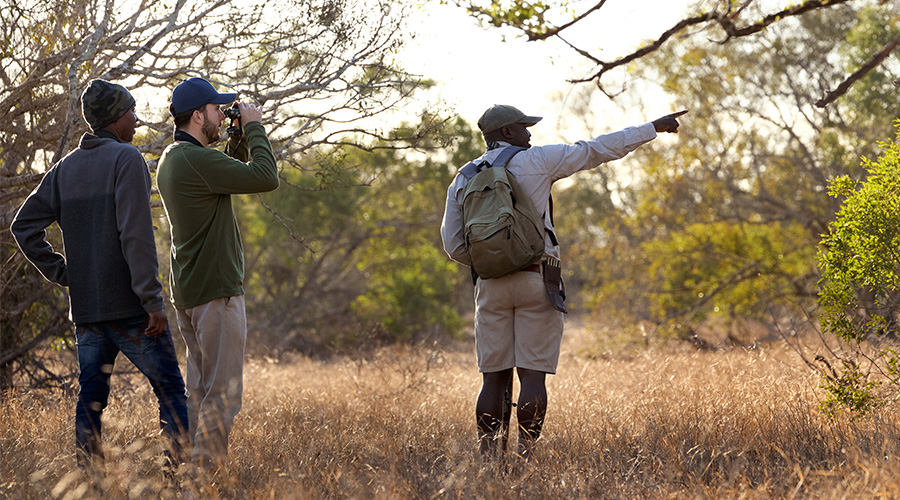 guides for safari experience guides for safari experience