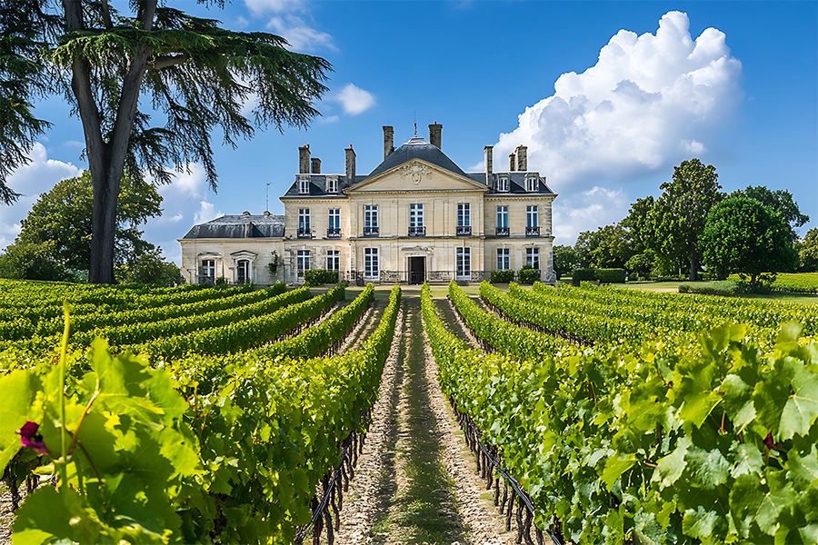 A grand chateau stands behind rows of lush green grapevines in a vineyard, under a bright blue sky with fluffy white clouds and surrounded by tall trees.