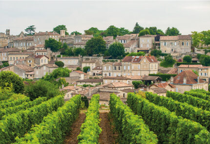 A hillside village with stone houses and red-tiled roofs overlooks lush green vineyards under a cloudy sky.