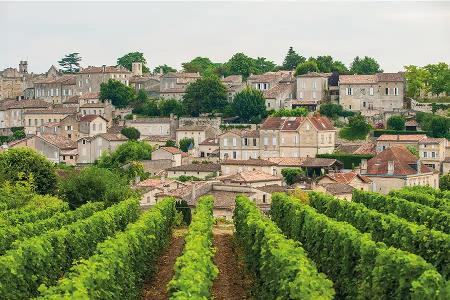 A hillside village with stone houses and red-tiled roofs overlooks lush green vineyards under a cloudy sky.