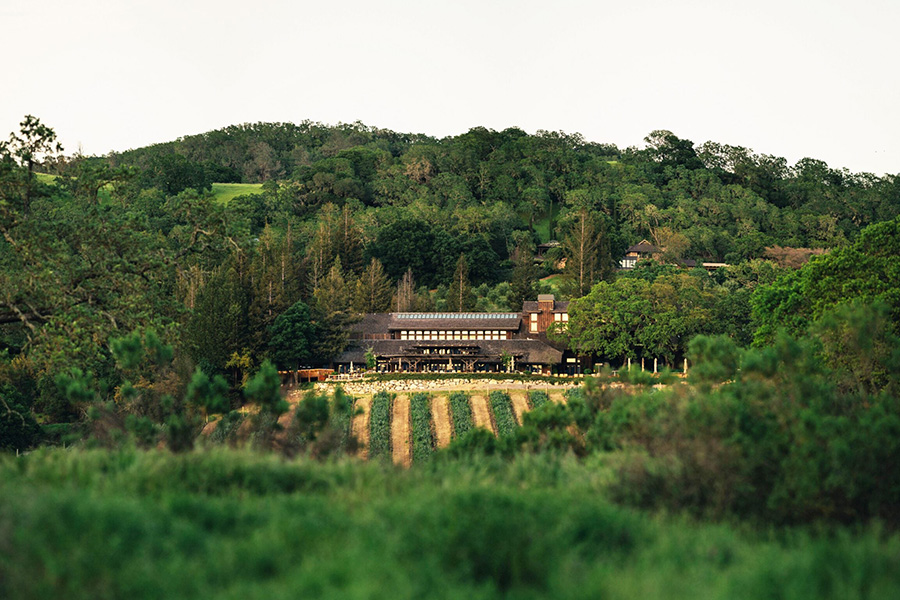 A rustic building surrounded by lush green trees sits beyond rows of neatly planted grapevines, with rolling forested hills in the background under a pale sky.