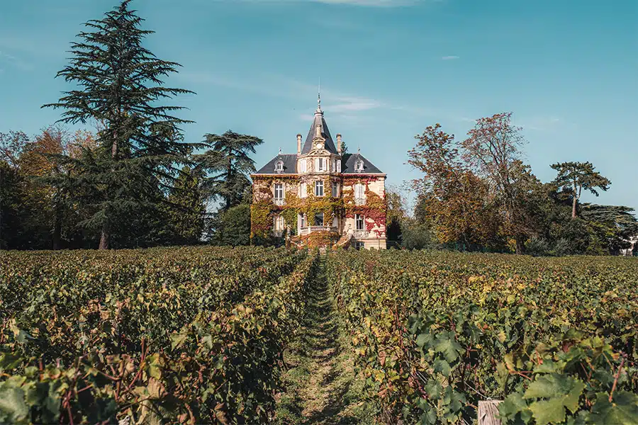A grand French chateau with ivy-covered walls stands amid rows of grapevines in a vineyard, surrounded by tall trees under a clear blue sky.