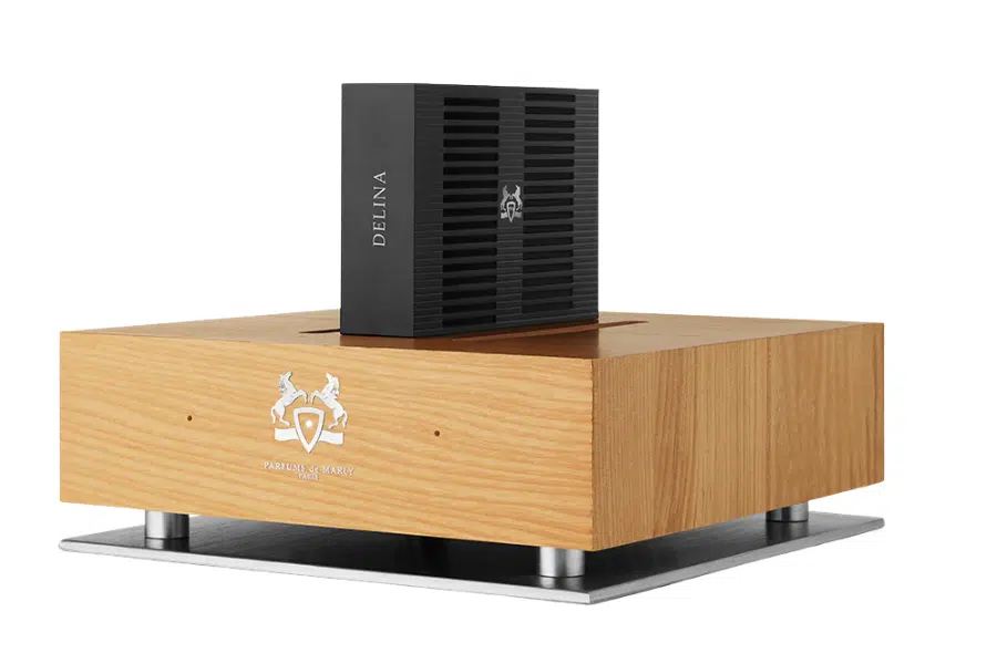 A black rectangular object labeled DELINA stands upright on a square wooden base with a crest logo, all supported by a metal platform with four cylindrical feet.