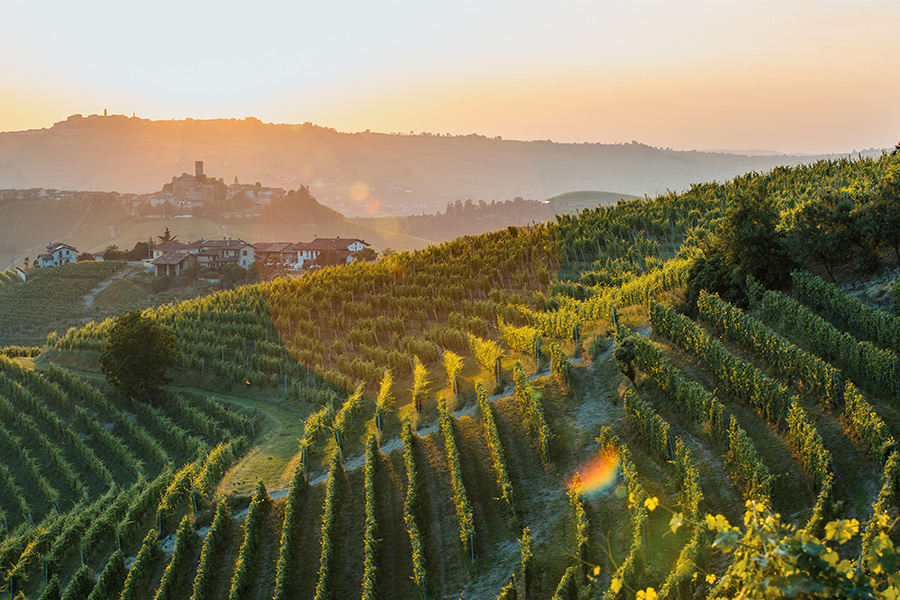 Rows of vineyards stretch across rolling hills at sunset, with golden sunlight illuminating the landscape. In the distance, a rustic village and castle sit atop a hill under a hazy, orange sky.