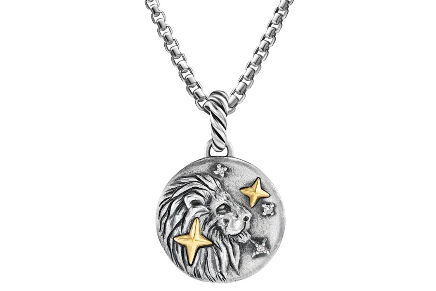 A silver pendant necklace features a lion’s head with gold star accents and small silver stars on a round medallion, hanging from a textured chain.