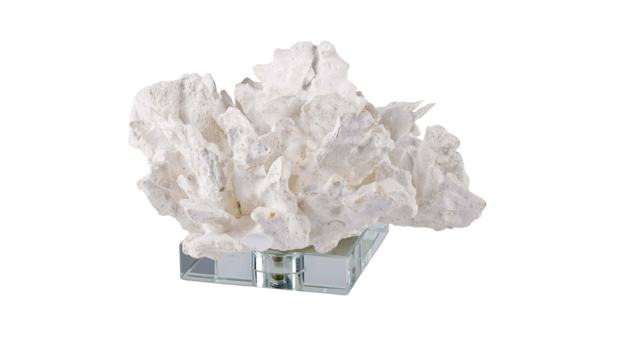 A white coral sculpture sits on a clear rectangular glass base, isolated on a white background.