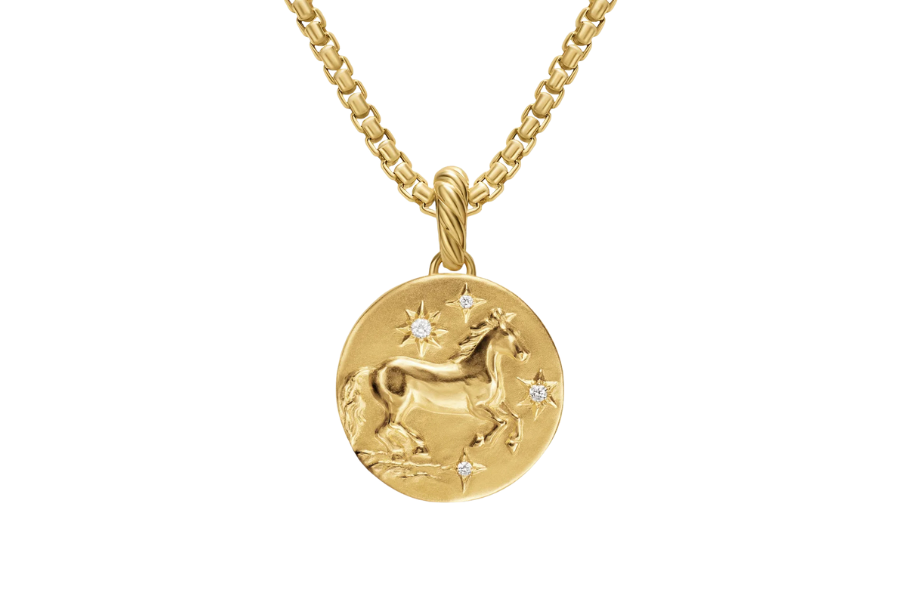 A gold chain necklace with an oval pendant featuring a raised horse design and five small sparkling gemstones arranged around the horse.